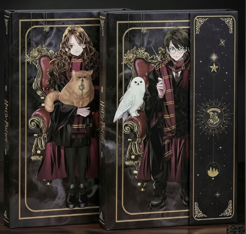 Hermoine and Harry Potter Hard Cover Diary ( Any One )