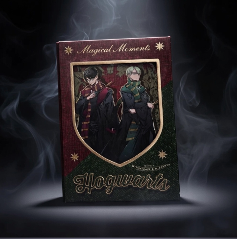 Harry Potter and Draco Hard Cover Diary