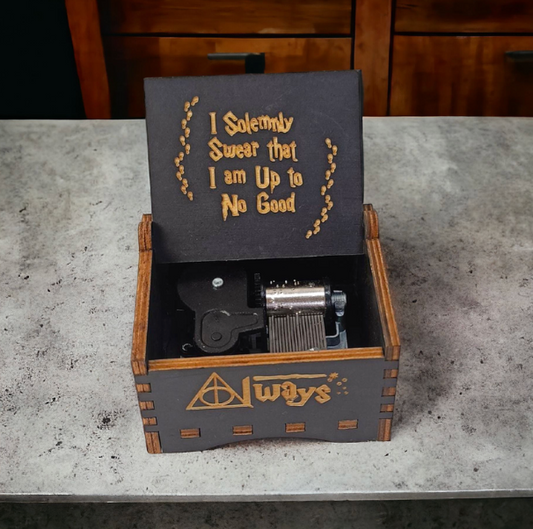 Harry Potter Automatic Music Box